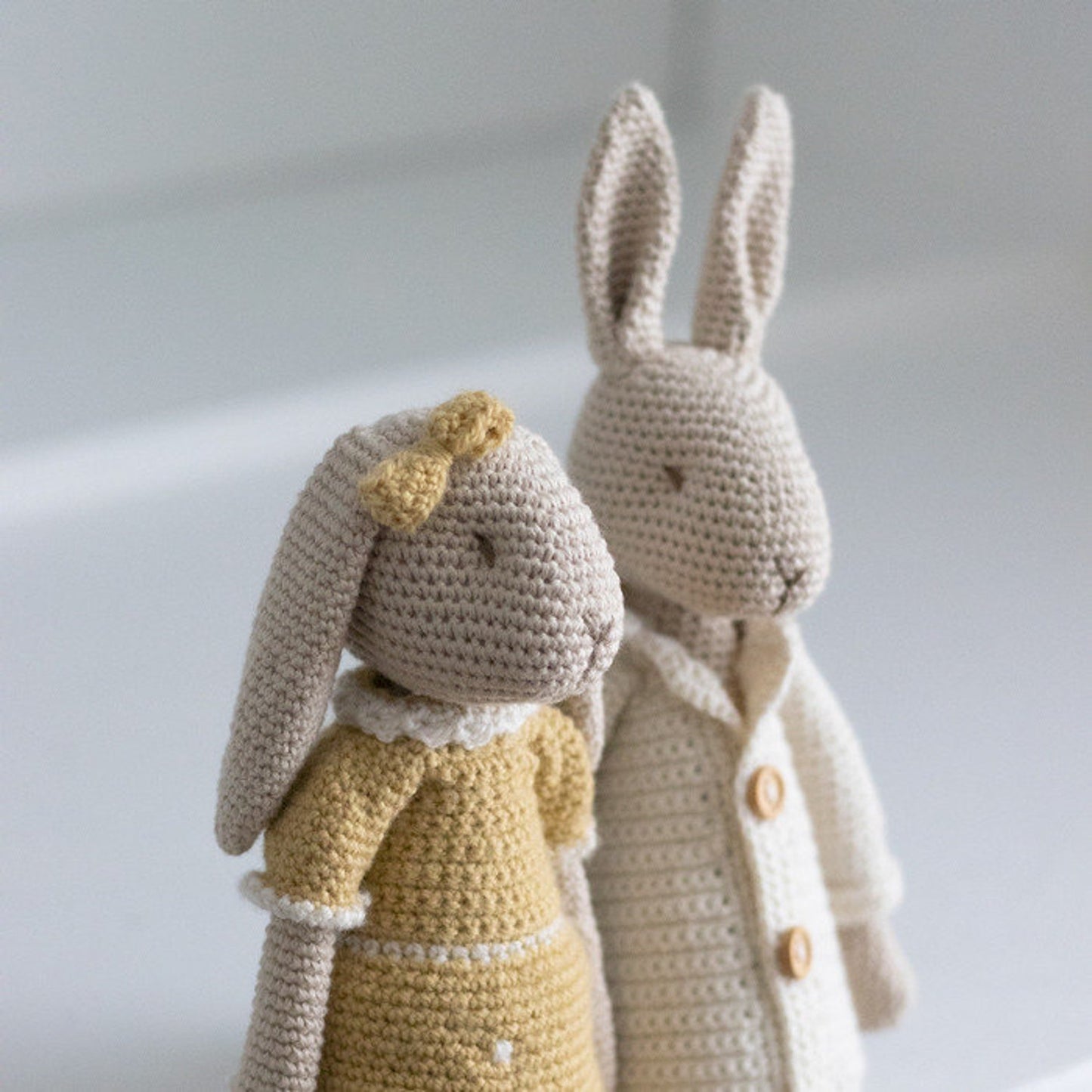 Mr & Mrs Bunny Amigurumi Crochet Pattern