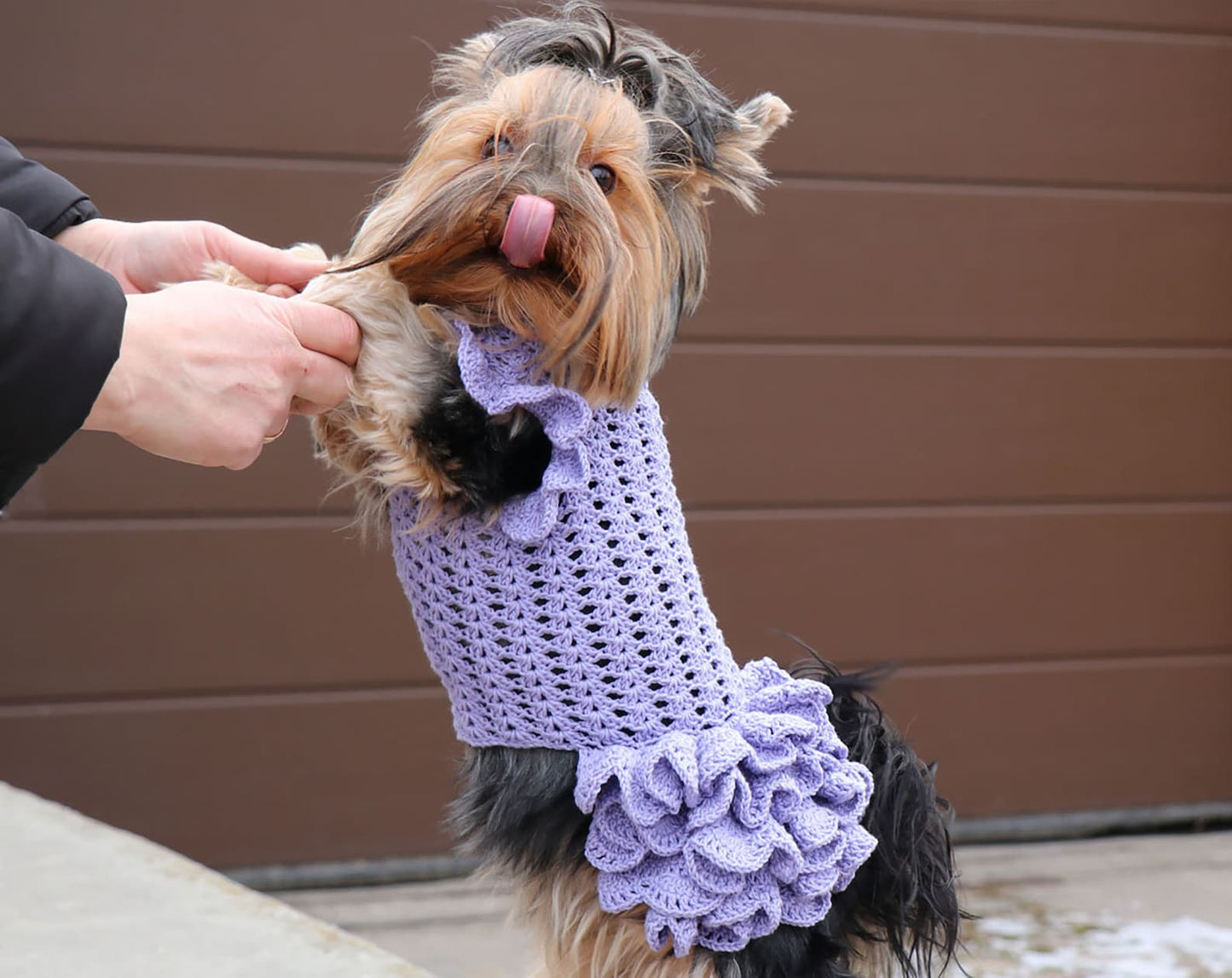 Easy Dog Dress Crochet Pattern
