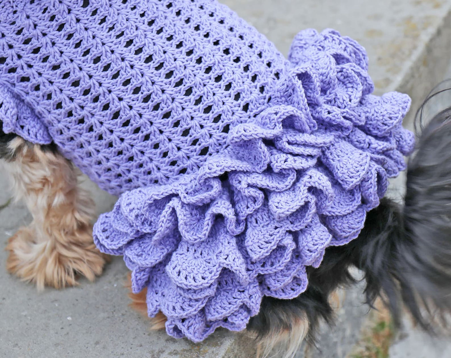 Easy Dog Dress Crochet Pattern