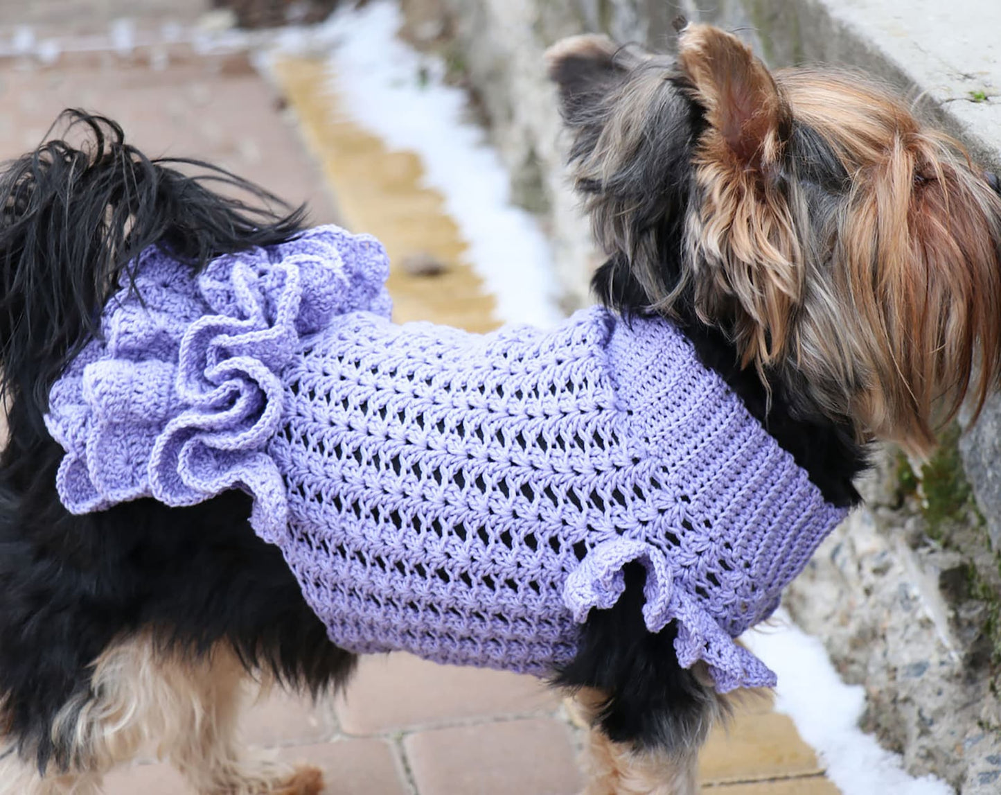 Easy Dog Dress Crochet Pattern