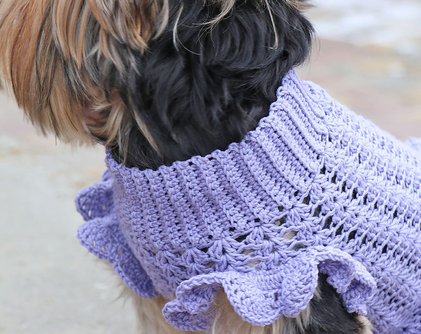 Easy Dog Dress Crochet Pattern