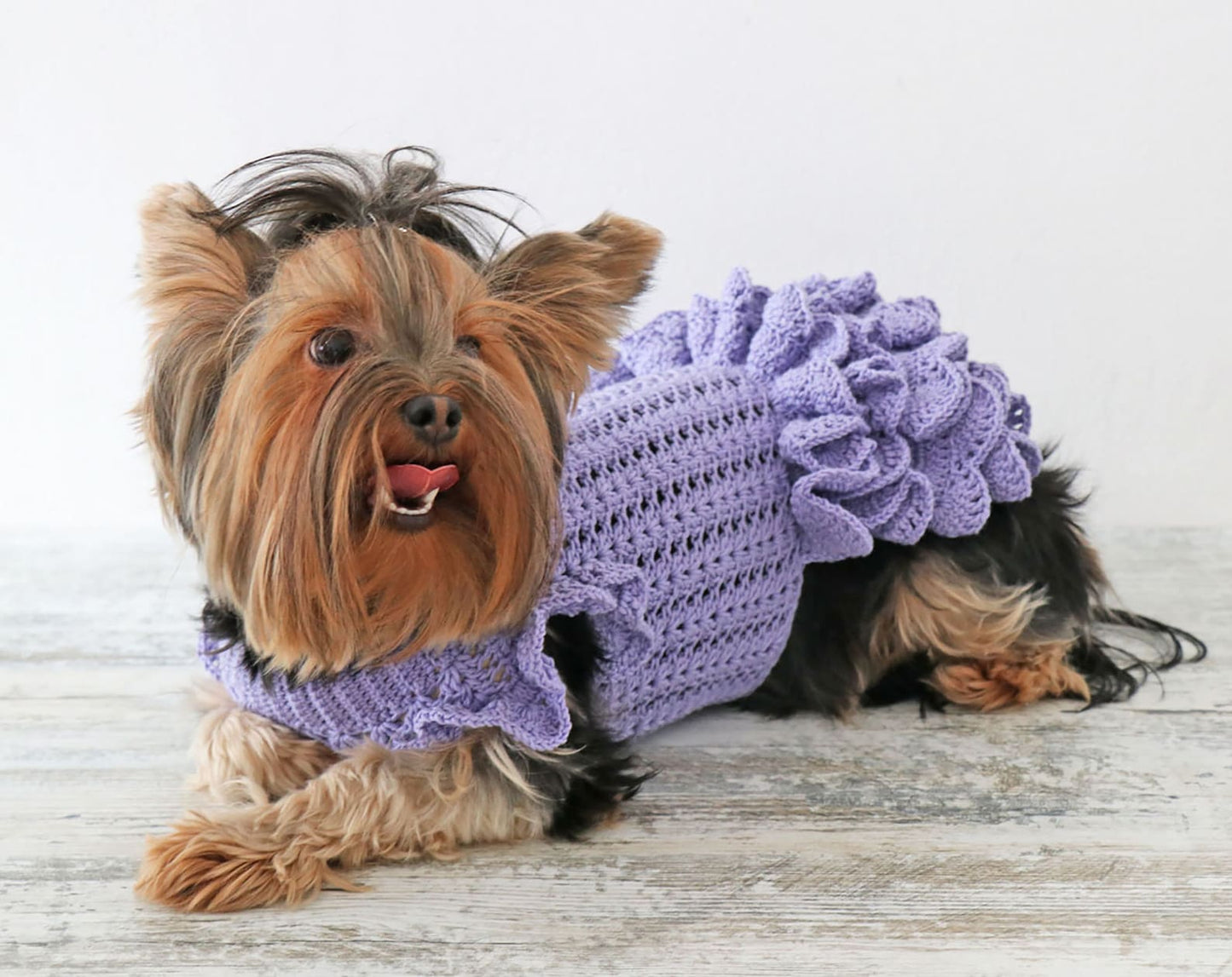 Easy Dog Dress Crochet Pattern