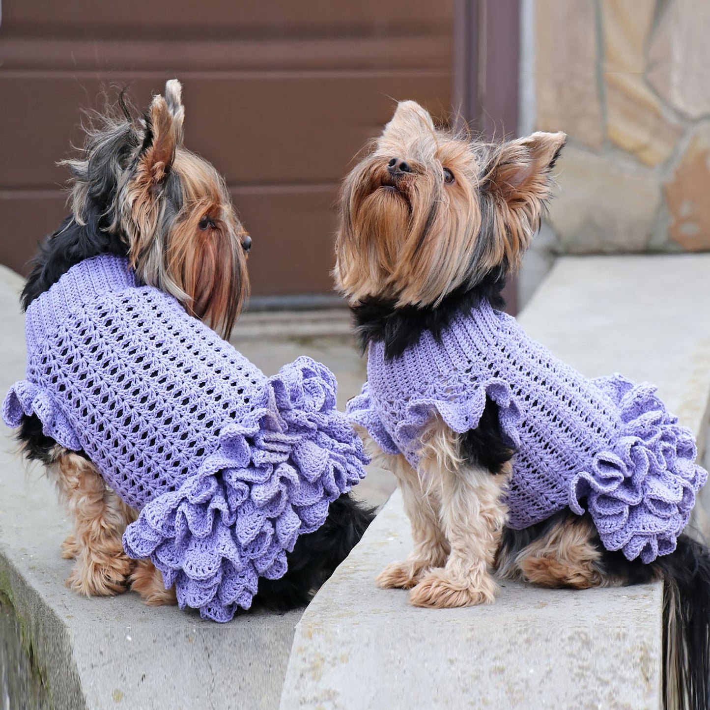 Easy Dog Dress Crochet Pattern
