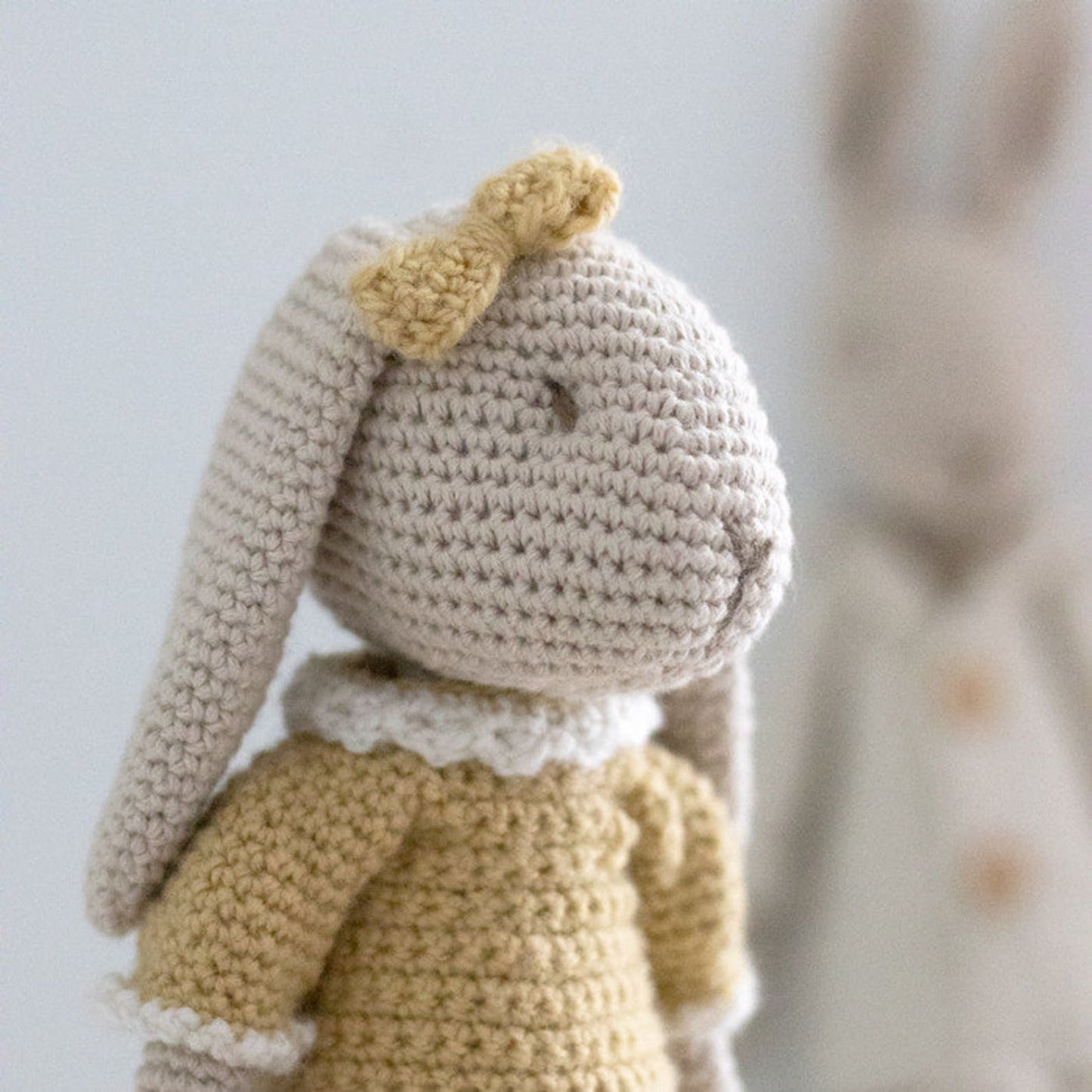 Mr & Mrs Bunny Amigurumi Crochet Pattern
