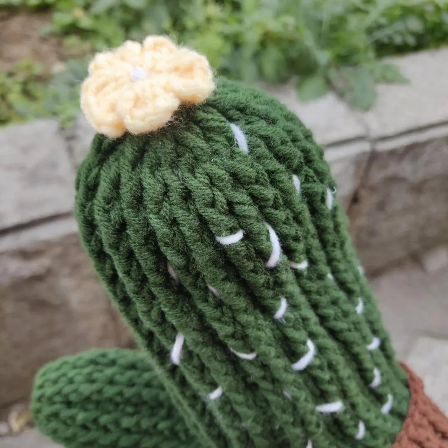 Adorable Cactus Gloves Crochet Pattern