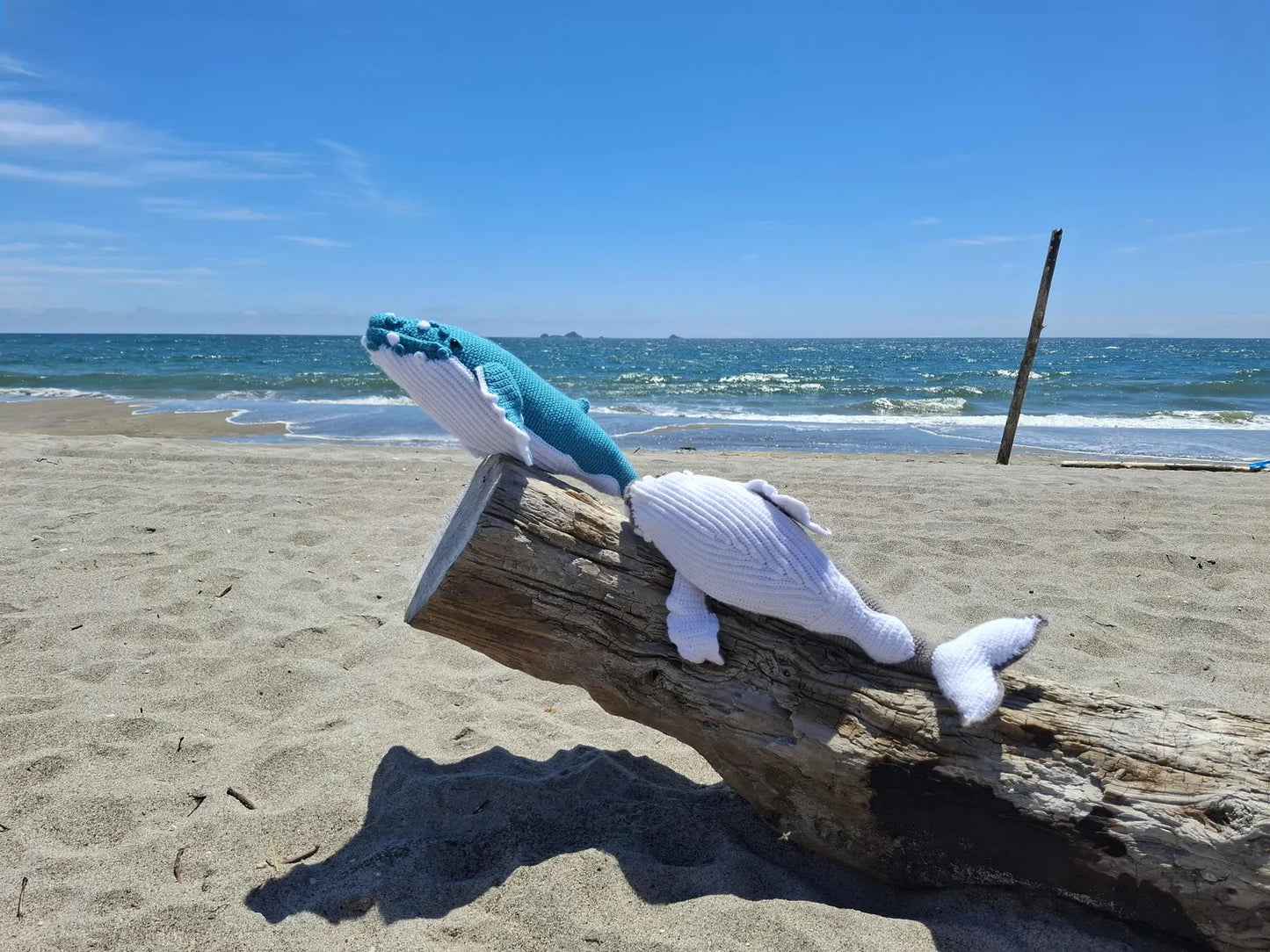 Halia the Humpback Whale Crochet Pattern