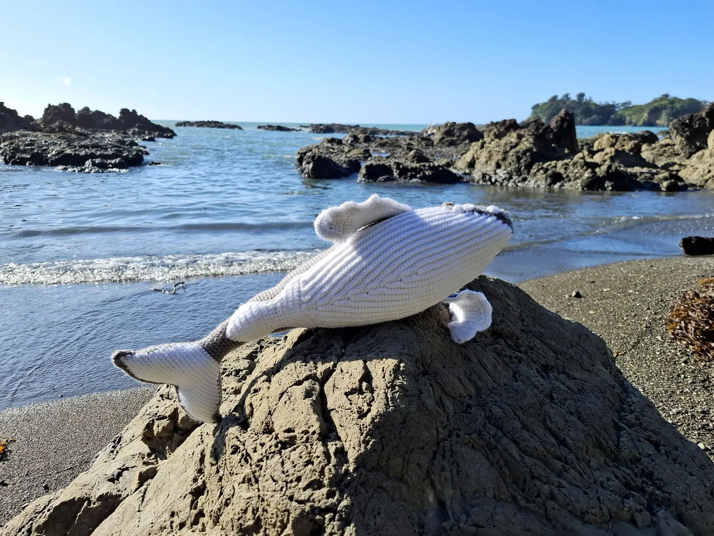 Halia the Humpback Whale Crochet Pattern