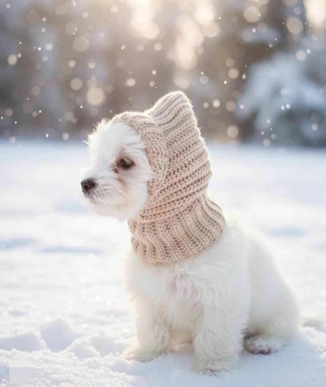 Pet Balaclava Crochet Pattern