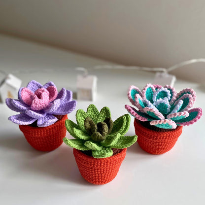 Potted Flowers Crochet Patterns