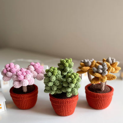 Potted Flowers Crochet Patterns