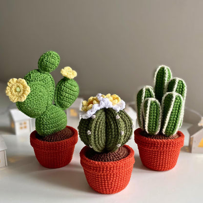 Potted Flowers Crochet Patterns