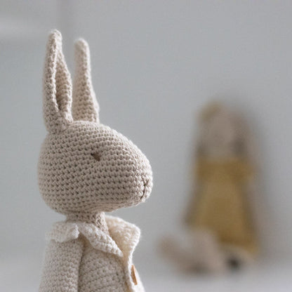 Mr & Mrs Bunny Amigurumi Crochet Pattern