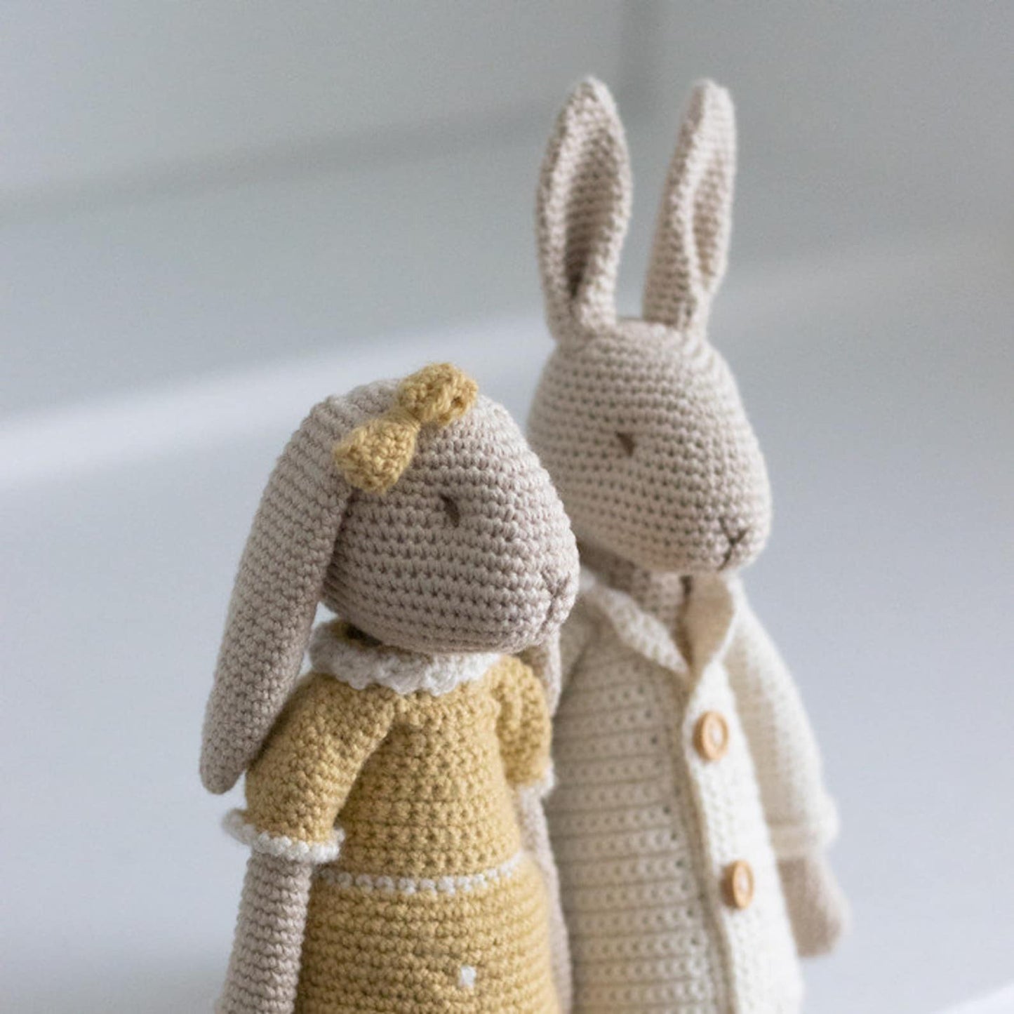 Mr & Mrs Bunny Amigurumi Crochet Pattern