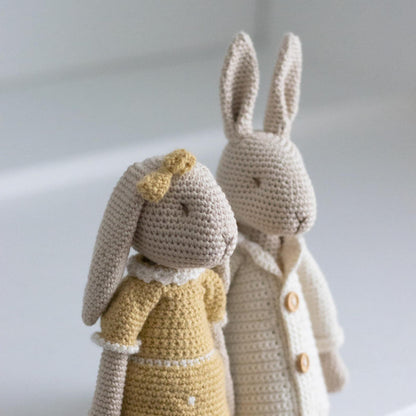 Mr & Mrs Bunny Amigurumi Crochet Pattern