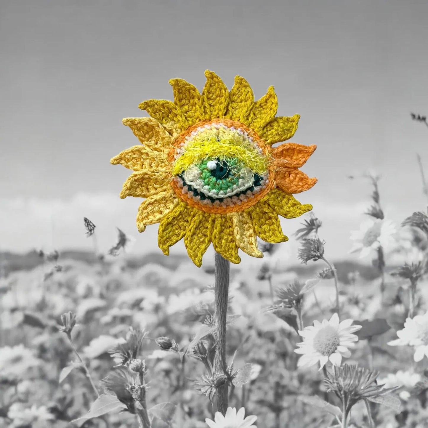 Blooming Eye Crochet Pattern