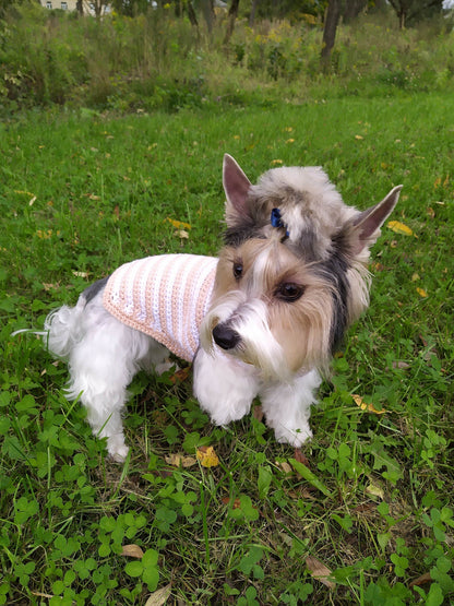 Pet Stripe Sweater Crochet Pattern