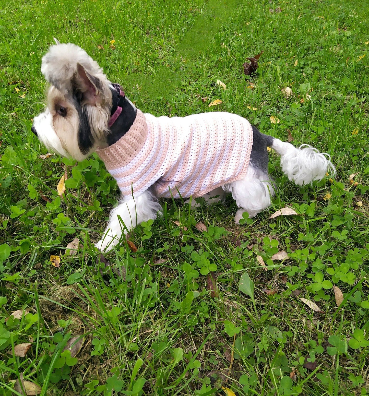 Pet Stripe Sweater Crochet Pattern
