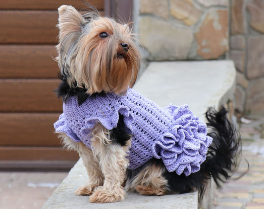 Easy Dog Dress Crochet Pattern