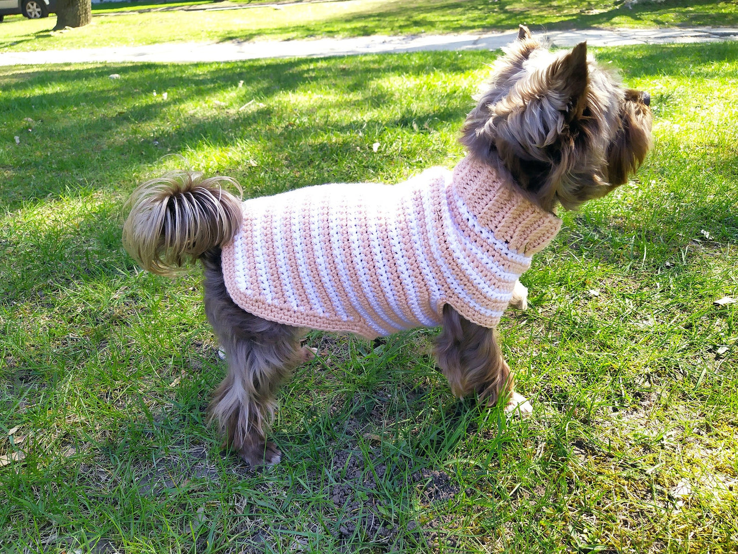 Pet Stripe Sweater Crochet Pattern